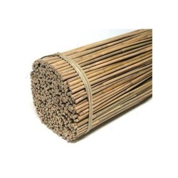 BAMBOO CANES