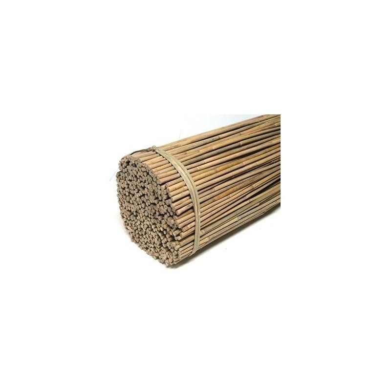 BAMBOO CANES